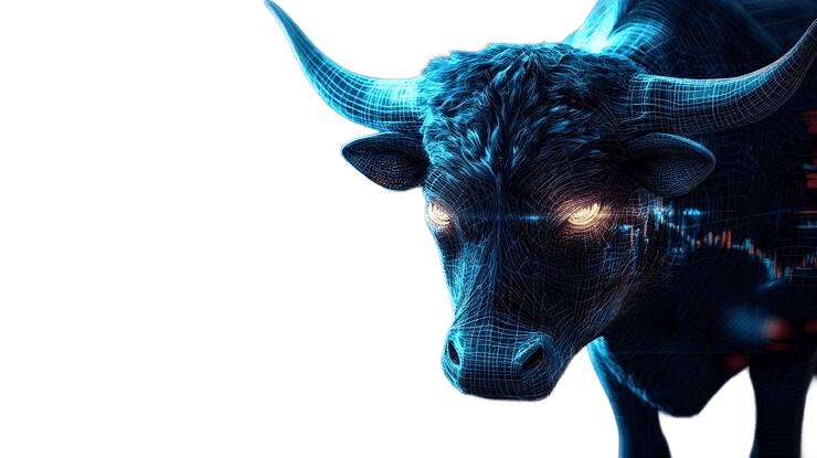 Bulls